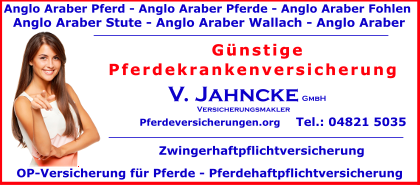 Anglo-Araber